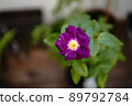 hana flowe flowers 89792784