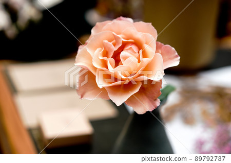 hana flowe flowers hana flowe flowers 89792787