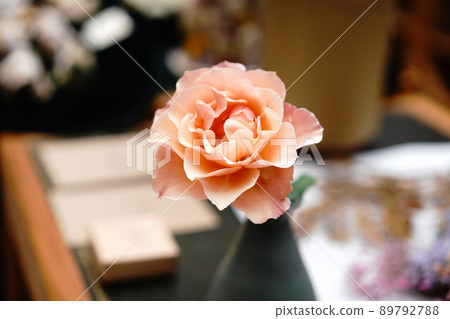 hana flowe flowers hana flowe flowers 89792788