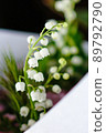 hana flowe flowers 89792790