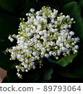 Flower bouquet 89793064