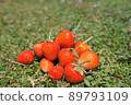 Harvested strawberries placed in a green meadow 89793109