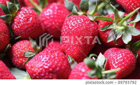 Ripe fresh strawberries or freshly picked fruit Ripe fresh strawberries or freshly picked fruit 89793792