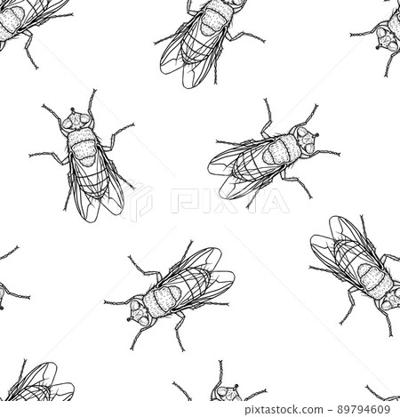 Seamless pattern of monochrome flys illustration. Vector illustration template 89794609