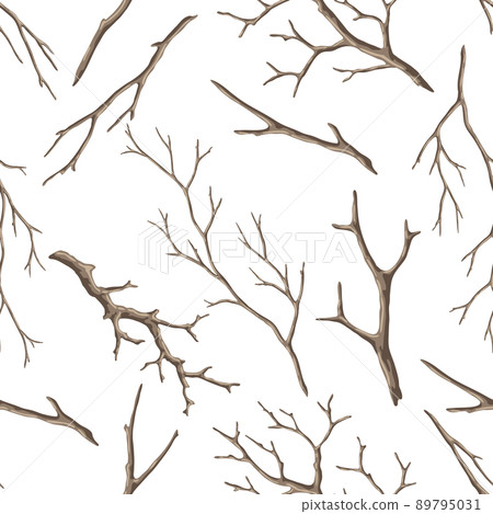 Seamless pattern with dry bare branches. Decorative natural twigs. 89795031