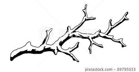 Illustration of dry bare branch. Decorative natural twig. 89795033