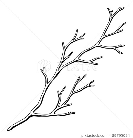 Illustration of dry bare branch. Decorative natural twig. Illustration of dry bare branch. Decorative natural twig. 89795034