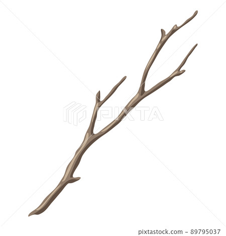 Illustration of dry bare branch. Decorative natural twig. 89795037