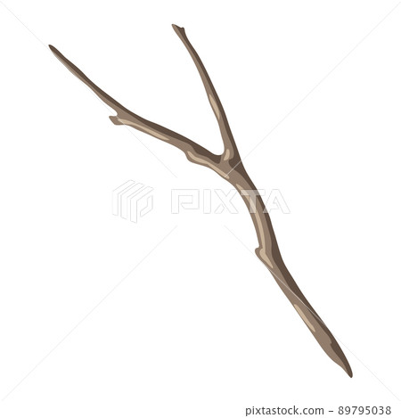 Illustration of dry bare branch. Decorative natural twig. 89795038