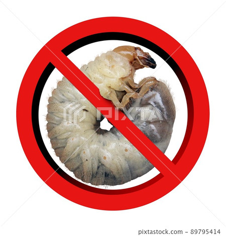 No Grass Grub No Grass Grub 89795414