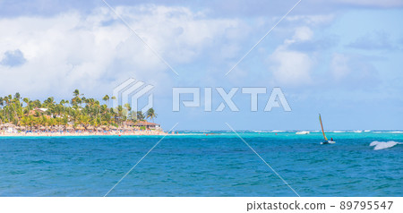 Coastal Caribbean landscape. Atlantic Ocean coast with palm trees Coastal Caribbean landscape. Atlantic Ocean coast with palm trees 89795547