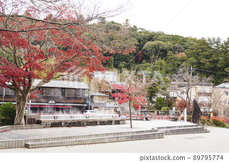 Autumn at Shuzenji, Izu City, Shizuoka Prefecture, a famous spot for autumn leaves Autumn at Shuzenji, Izu City, Shizuoka Prefecture, a famous spot for autumn leaves 89795774