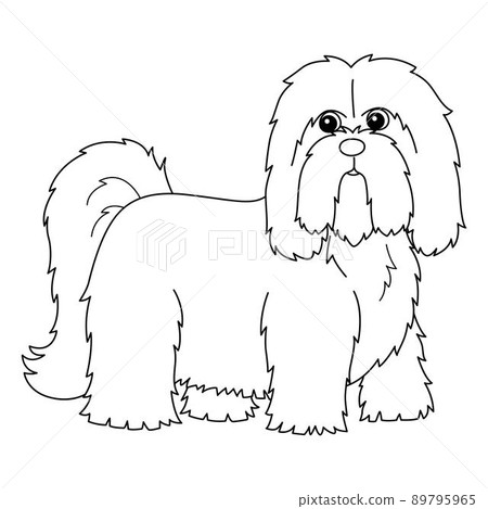 Lhasa Apso Dog Coloring Page Isolated for Kids Lhasa Apso Dog Coloring Page Isolated for Kids 89795965