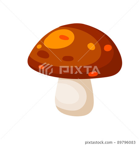 Mushroom with a red cap. Natural natural product. Mushroom with a red cap. Natural natural product. 89796083