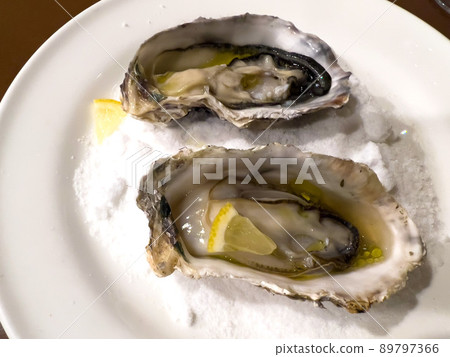 Oyster Oyster 89797366