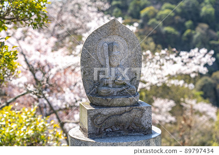 櫻花和石佛 櫻花和石佛 89797434
