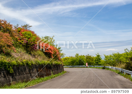 伊香保森林公園杜鵑山 伊香保森林公園杜鵑山 89797509