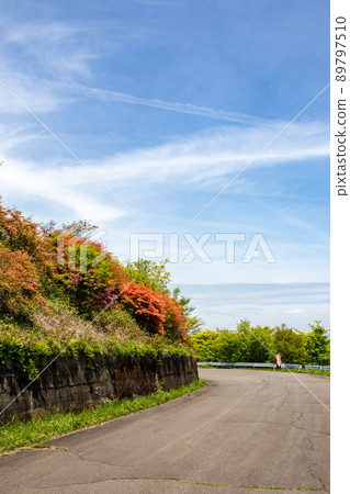 Ikaho Forest Park Azalea Hill Ikaho Forest Park Azalea Hill 89797510