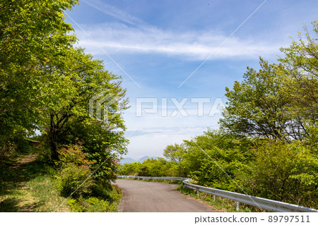 Ikaho Forest Park Azalea Hill Ikaho Forest Park Azalea Hill 89797511