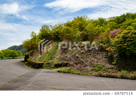 Ikaho Forest Park Azalea Hill Ikaho Forest Park Azalea Hill 89797514