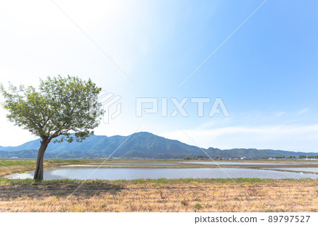 Mt. Yahiko seen from Natsui's Haza tree (100 selections of rural landscapes in Niigata City) Mt. Yahiko seen from Natsui's Haza tree (100 selections of rural landscapes in Niigata City) 89797527