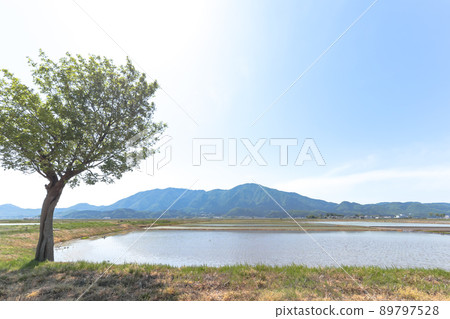 Mt. Yahiko seen from Natsui's Haza tree (100 selections of rural landscapes in Niigata City) Mt. Yahiko seen from Natsui's Haza tree (100 selections of rural landscapes in Niigata City) 89797528