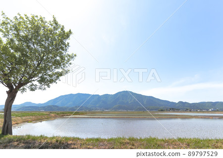 從夏井的波座樹上看到的彌彥山(新潟市鄉村景觀100選) 從夏井的波座樹上看到的彌彥山(新潟市鄉村景觀100選) 89797529