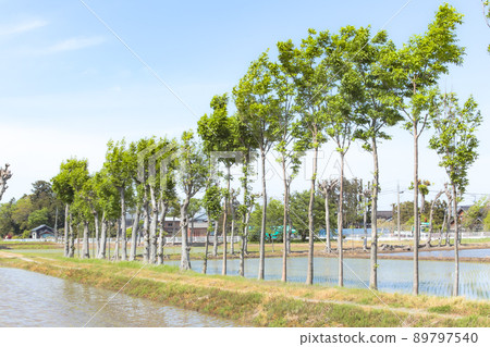 Hazagi of Natsui (100 selections of rural landscapes in Niigata City) Hazagi of Natsui (100 selections of rural landscapes in Niigata City) 89797540