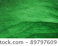 Green Leaf Macro. Textures Of Ficus Green Leaves. Extreme close up texture of green leaf veins. Leaf Vein Skeleton. horizontal green leaf texture for pattern and background 89797609