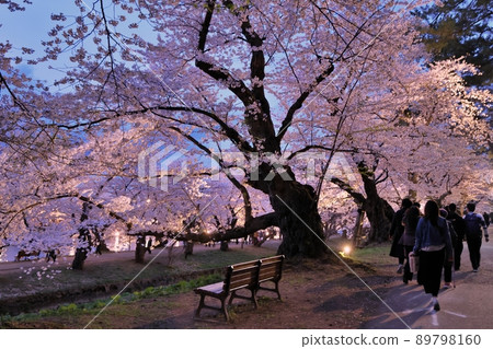 Nishimochi scenery in the evening (Hirosaki Cherry Blossom Festival) Nishimochi scenery in the evening (Hirosaki Cherry Blossom Festival) 89798160