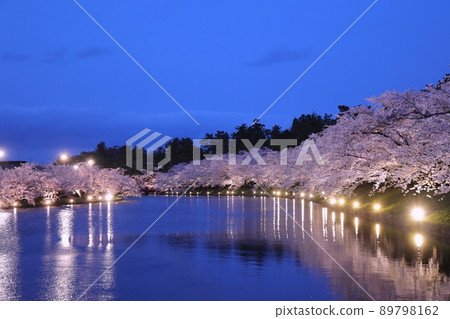 Nishimochi scenery in the evening (Hirosaki Cherry Blossom Festival) 89798162