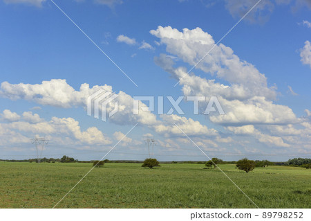 Summer landscape, Pampas, Patagonia, Argentina 89798252