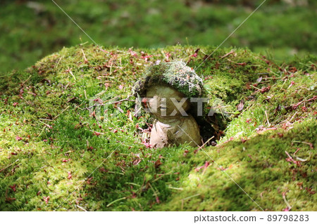 Scenery with Jizo wearing a hat in green moss 89798283