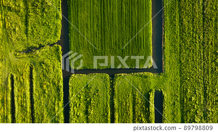 Aerial view of green field. Netherlands. Canals with water for agriculture. Fields and meadows. 89798809
