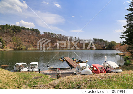 Road Station Venus Line Lake Tateshina (Nagano Prefecture) 89799461