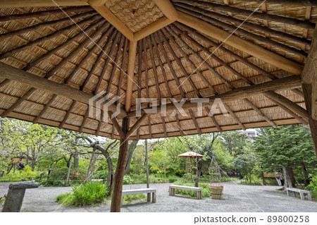 向島百花園,東向島,墨田區,東京,東京都立庭園,大量栽培的藥草,池泉,園寺大廈,石碑 向島百花園,東向島,墨田區,東京,東京都立庭園,大量栽培的藥草,池泉,園寺大廈,石碑 89800258