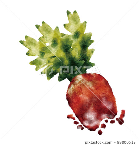 紅蘿蔔 紅蘿蔔 89800512
