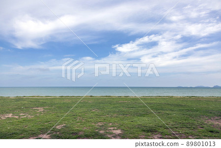 sea and field of green grass landscape sea and field of green grass landscape 89801013