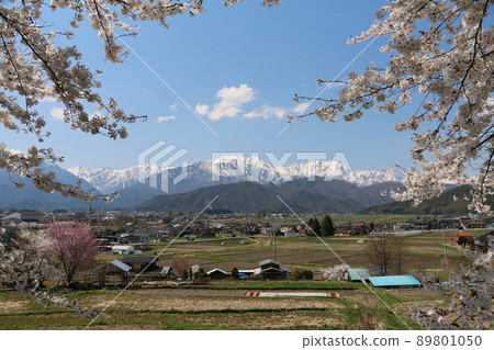 從觀光道路看大町市的民居和北狼瘡 從觀光道路看大町市的民居和北狼瘡 89801050