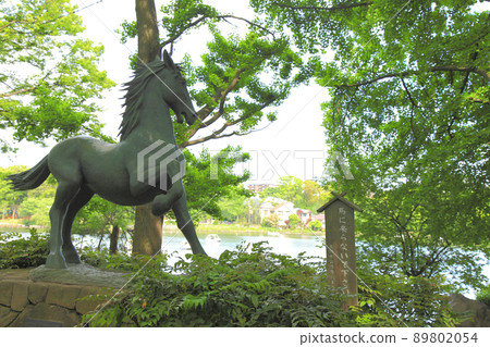 Iketsuki Washokuike Senzoku Hachiman Shrine Iketsuki Washokuike Senzoku Hachiman Shrine 89802054