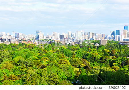 Skyscrapers seen over Shinjuku Gyoen National Garden Skyscrapers seen over Shinjuku Gyoen National Garden 89802402