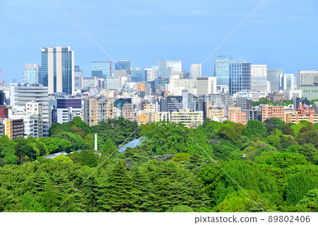 Skyscrapers seen over Shinjuku Gyoen National Garden 89802406