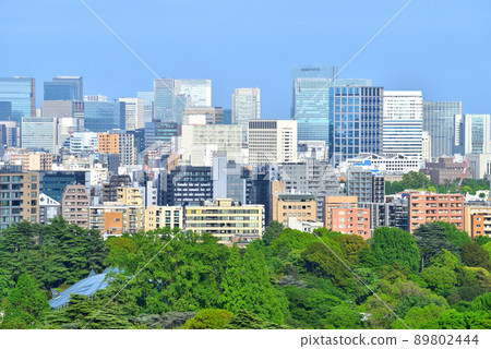Skyscrapers seen over Shinjuku Gyoen National Garden 89802444