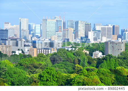 Skyscrapers seen over Shinjuku Gyoen National Garden 89802445