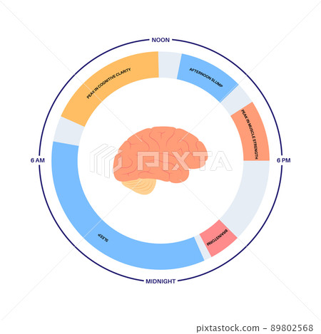 Sleep wake cycle 89802568