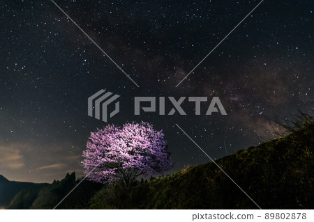 一棵孤零零的櫻桃樹和銀河系 一棵孤零零的櫻桃樹和銀河系 89802878