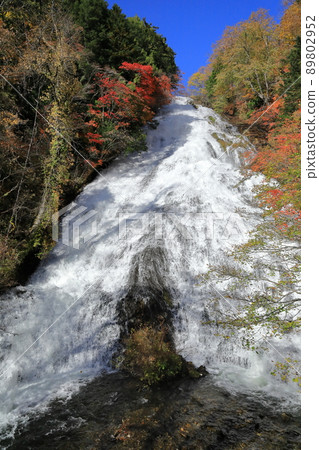 Autumn leaves of Yu fall Autumn leaves of Yu fall 89802952