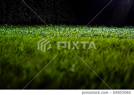 Grasses on the ground in the dark night garden with spotlight light. 89803060