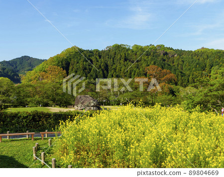 飛鳥村石部古墳風景 89804669