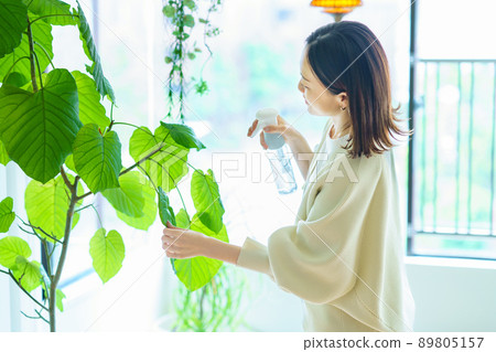 A woman watering a houseplant in a room A woman watering a houseplant in a room 89805157